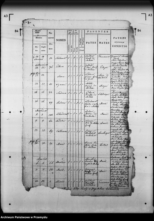 Obraz 9 z jednostki "[Kopie ksiąg metrykalnych parafii Małnów (dekanat Mościska)]"