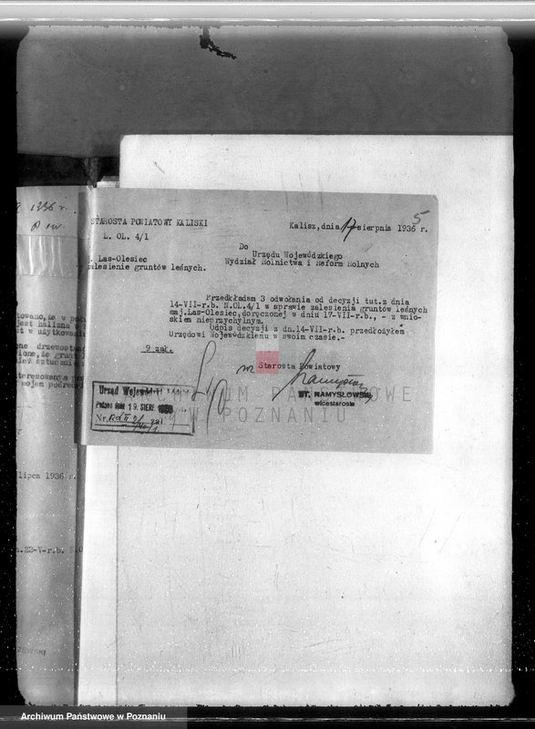 Obraz 9 z jednostki "Majętność /leśna/ Olesiec-Chocz powiat koniński"