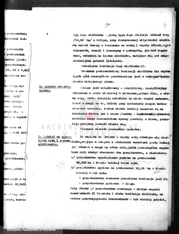 Obraz 8 z jednostki "/Nadzór nad gospodarką leśną gminy miasta Czarnkowa"