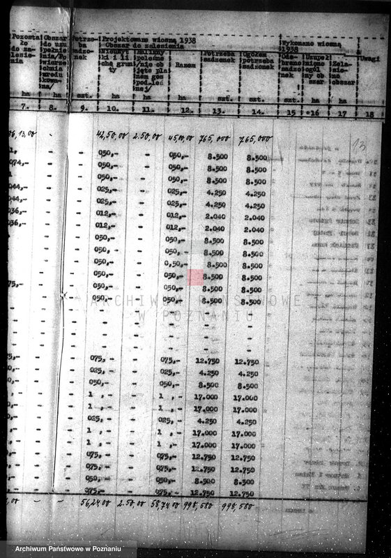 Obraz 17 z jednostki "Plan zalesiania majątków w powiecie czarnkowskim"