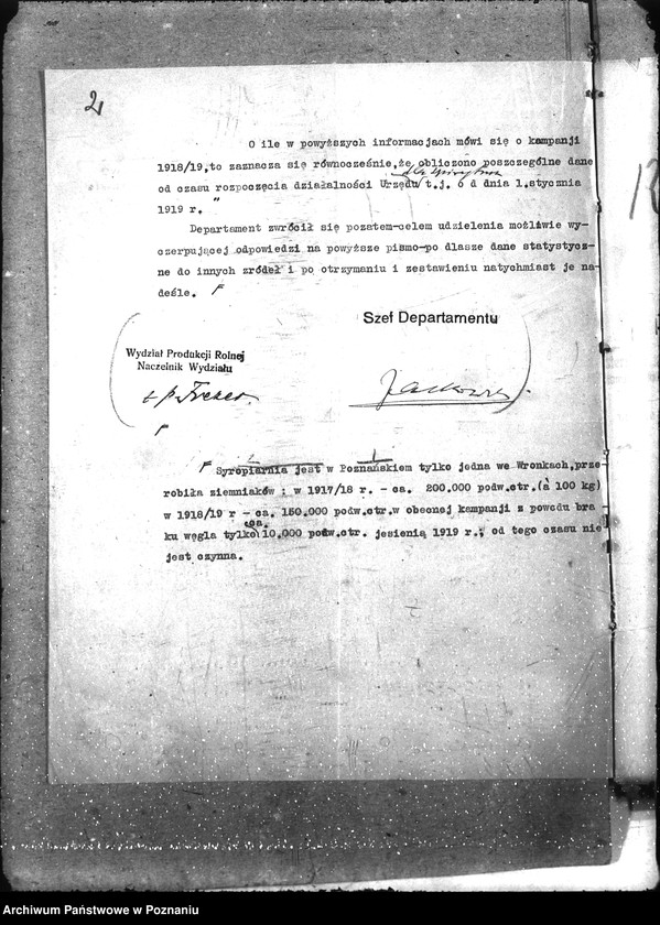 Obraz 6 z jednostki "Ziemiopłody"