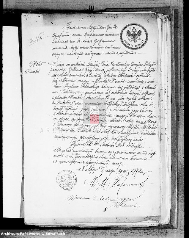 image.from.unit.number "Dokmenty v Aktam brakosočetanij Vejsejskogo Rimsko-Katoličeskogo pichoda 1878 goda"