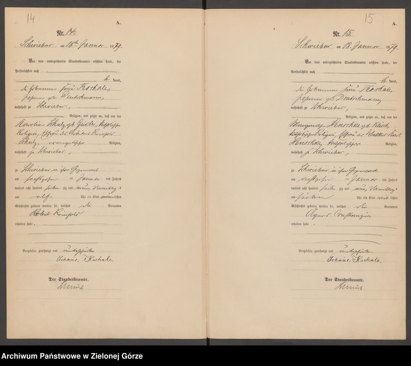 Obraz 11 z jednostki "[Księga urodzeń]"