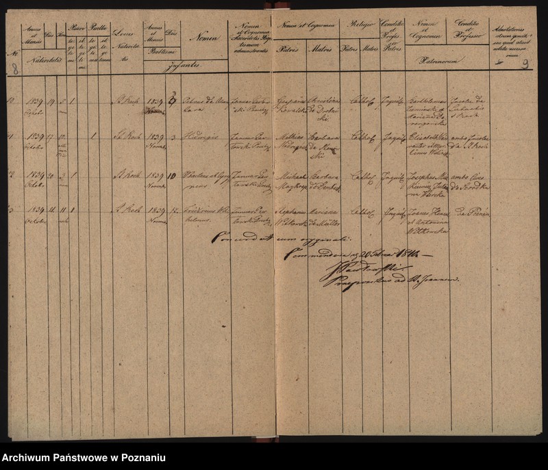 Obraz 8 z jednostki "Duplicat baptisatorum, copulatorum, mortuorum"