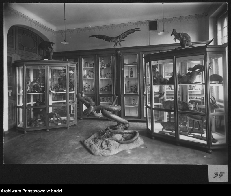 Obraz 2 z jednostki "[Pracownia biologiczna - widok na eksponaty, fragment I]"