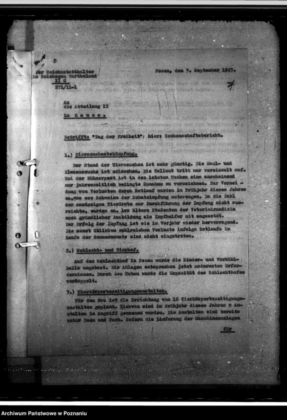 Obraz 12 z jednostki "Programm "Tag der Freiheit" - Leistungsbericht"