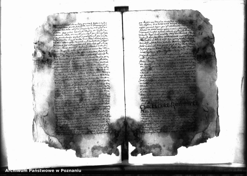 Obraz 8 z jednostki "Decreta officii [inducta]"