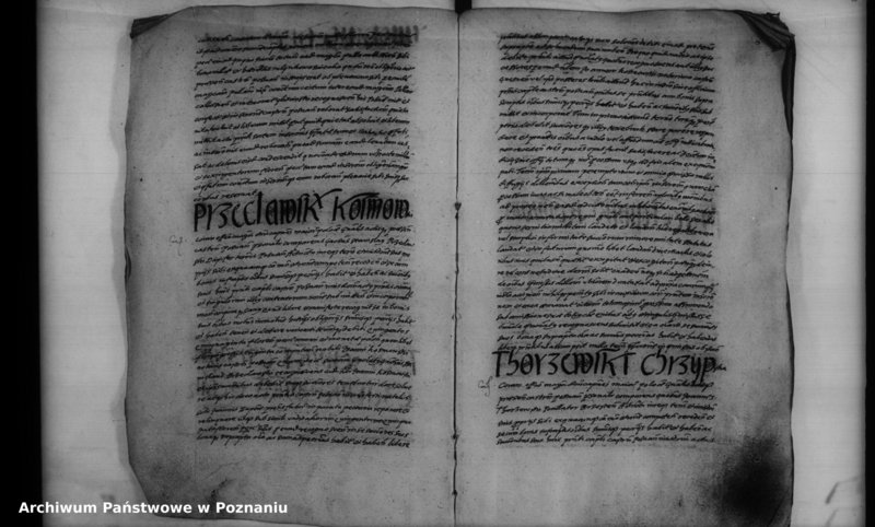 Obraz 7 z jednostki "Inscriptiones [inducta]"