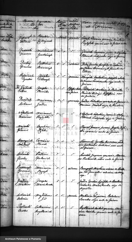 Obraz 11 z jednostki "Duplikat baptisatorum, copulatorum, mortuorum"