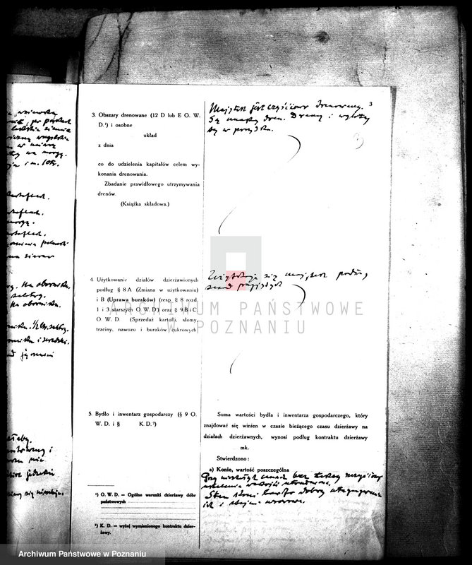 Obraz 7 z jednostki "Rewizje majątku państwowego Rgielsko"