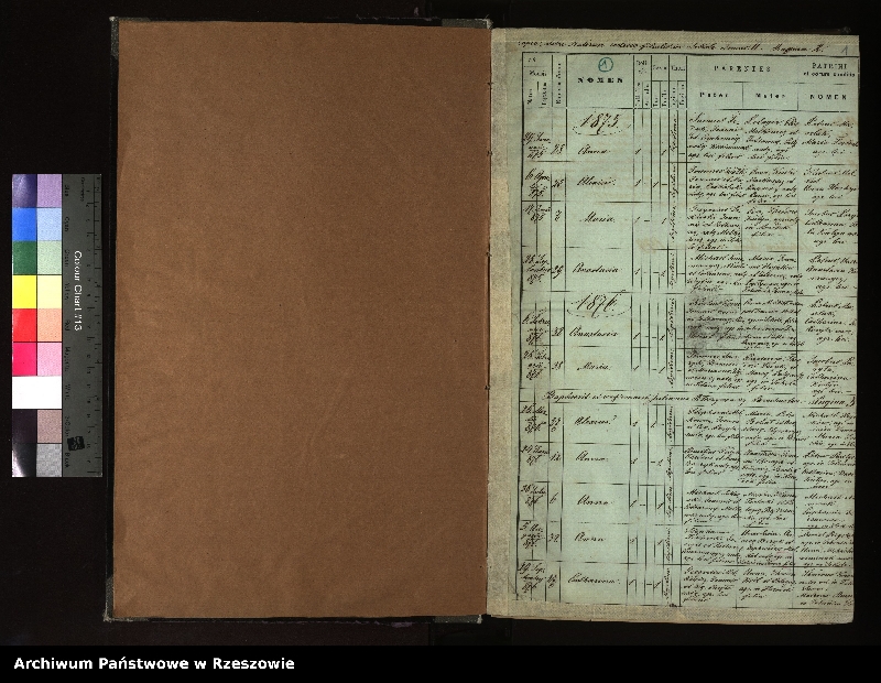 Obraz z jednostki "Księga urodzeń, małżeństw i zgonów dla miejscowosci Teleśnica Sanna i Sokole"