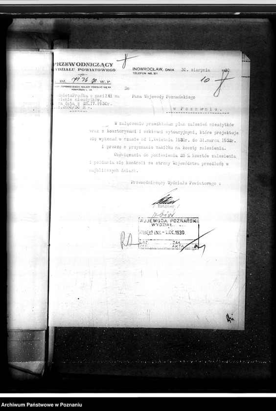 Obraz 14 z jednostki "Zalesienie nieużytków w powiecie inowrocławskim"