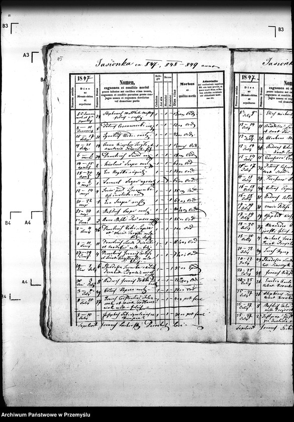 Obraz 19 z jednostki "[Kopie ksiąg metrykalnych parafii Krzywa z filiami Jasionka, Wołowiec (dekanat Gorlice)]"