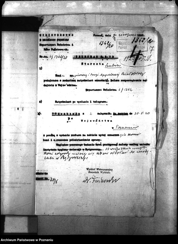 Obraz 11 z jednostki "Nosacizna - Szubin"