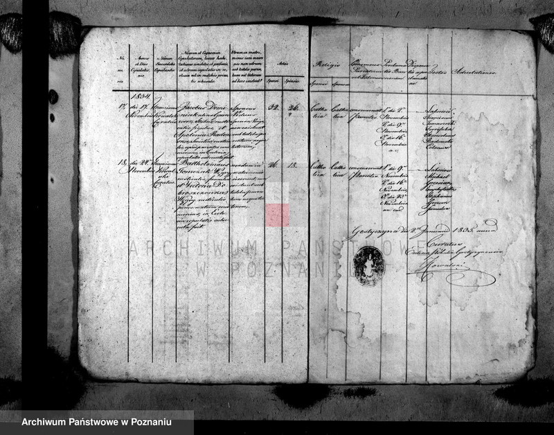 image.from.unit.number "Metrices copulatorum"