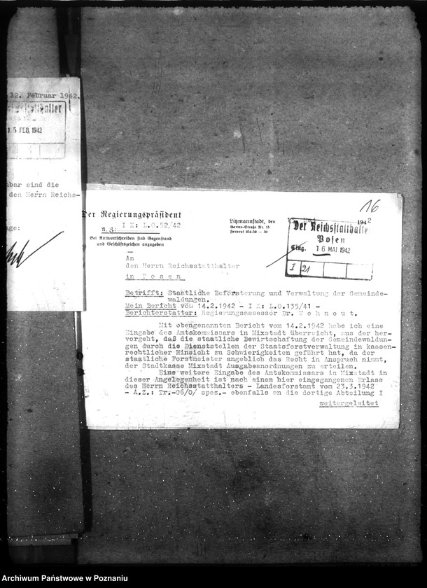 Obraz 20 z jednostki "Zarządzanie i gospodarowanie lasami gminnymi"