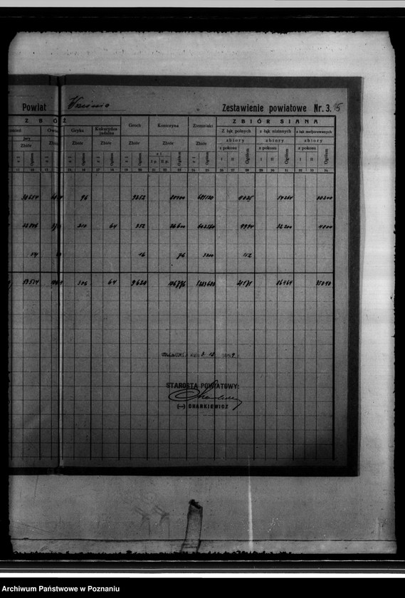 Obraz 19 z jednostki "/Statystyka produkcji rolnej - zestawienie powiatowe - Września/"