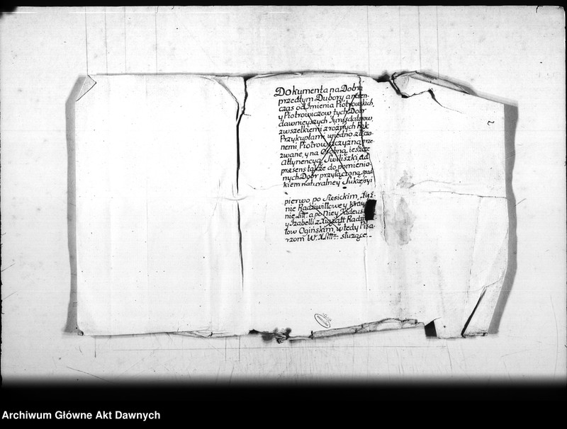 image.from.team "Archiwum Platerów z Antuzowa"