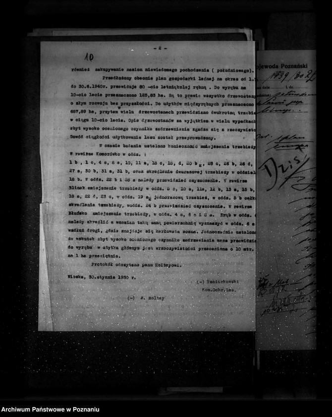 Obraz 14 z jednostki "Majętność leśna Wioska powiat wolsztyński"