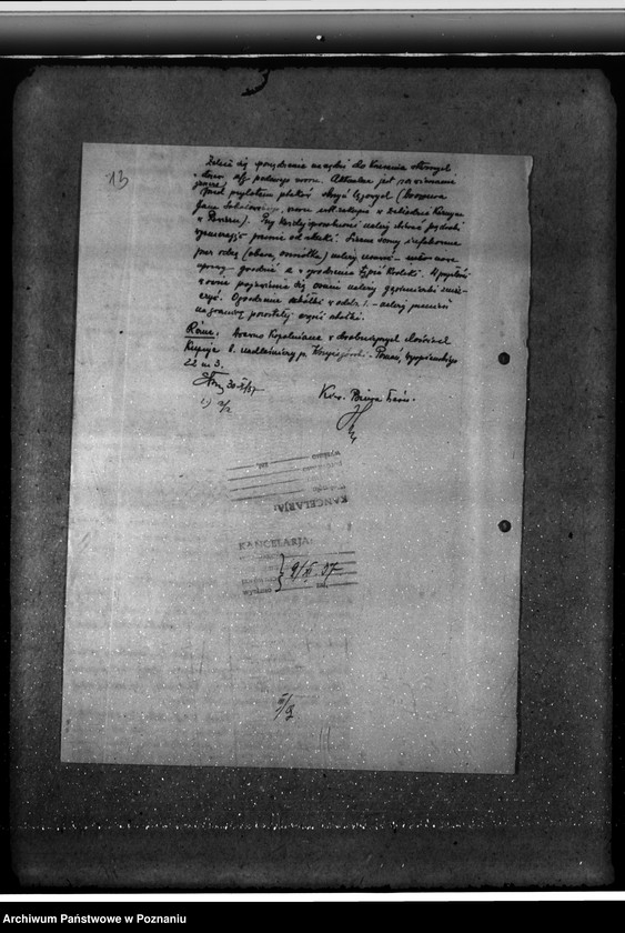 Obraz 17 z jednostki "Majętność leśna Godurowo w powiecie gostyńskim"