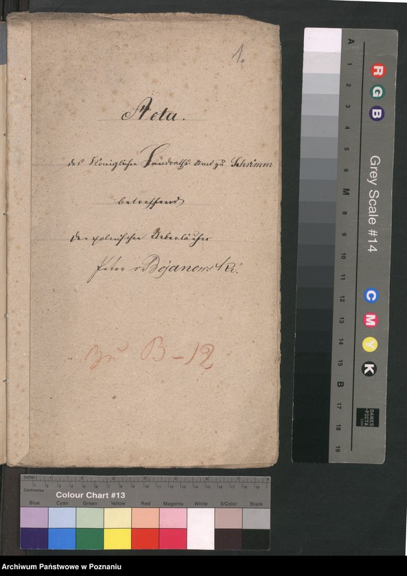 Obraz 4 z jednostki "A. betr. Peter von Bojanowski"