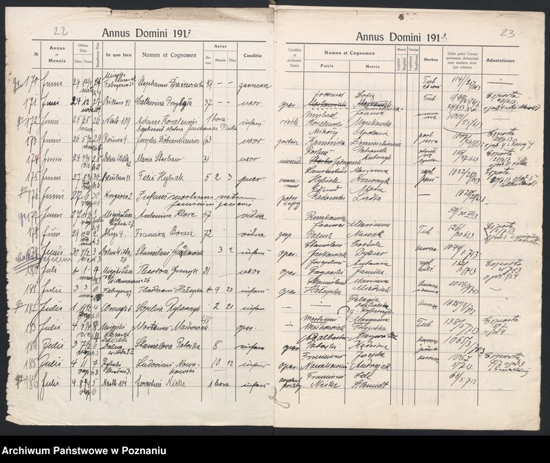 Obraz 14 z jednostki "Indeks zgonów"