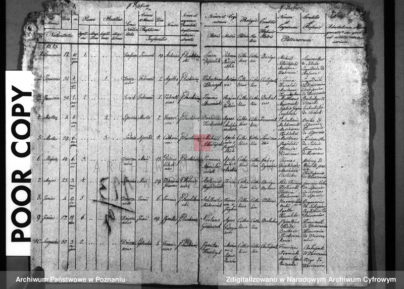 image.from.unit.number "Duplicatum baptisatorum, copulatorum, mortuorum"