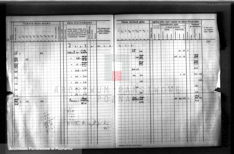 image.from.unit.number "Dodatkowy plan urządzenia gospodarstwa leśnego dla lasu ordynacji Obrzycko powiat szamotulski 1937-1938"