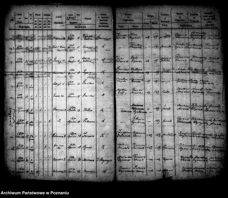 Obraz 13 z jednostki "Księga urodzin"