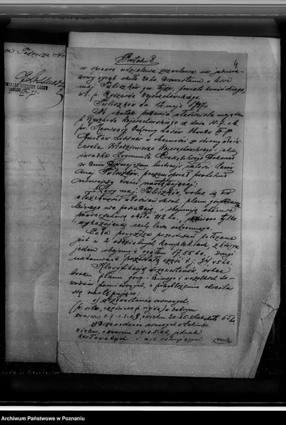 Obraz 9 z jednostki "Majątek Tuliszków, Rysiu, Szubianki powiatu konińskiego /nadzór nad gospodarką leśną/"