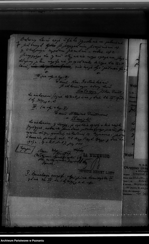 Obraz 11 z jednostki "Nadzór nad gospodarką w lasach majętności Jezierzyce"