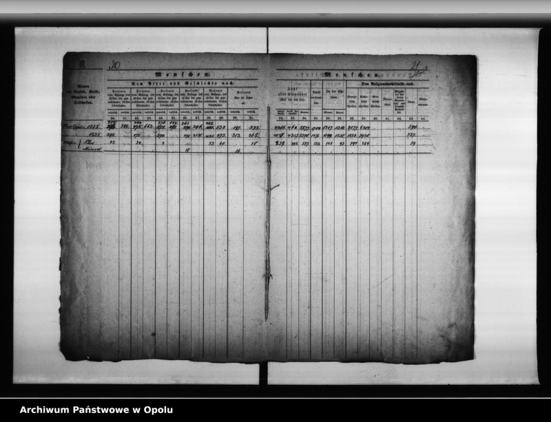 Obraz 17 z jednostki "Acta des Magistrats zu Oppeln betreffend Aufnahme und Einsendung der städtischen Tabellen von der Stadt Oppeln"