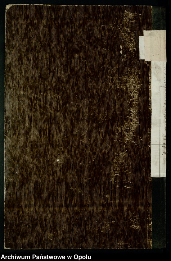 Obraz 20 z jednostki "Heiraths-Neben-Register Standes-Amt Riebnig 1898"