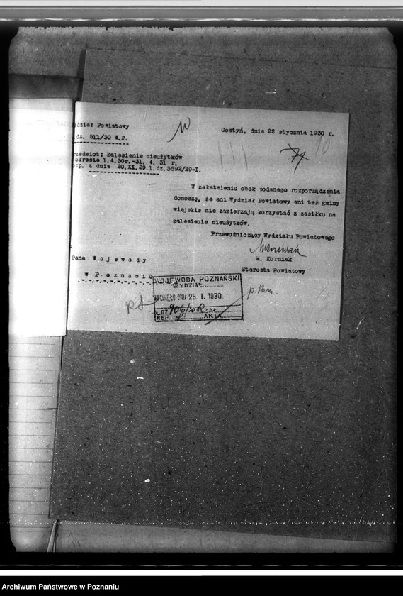 Obraz 14 z jednostki "Zalesienie nieużytków w powiecie gostyńskim"