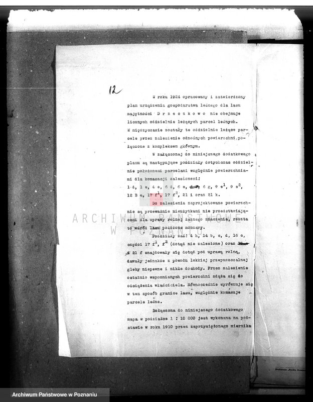 Obraz 16 z jednostki "Majętność leśna Drzeczkowo powiat leszczyński"