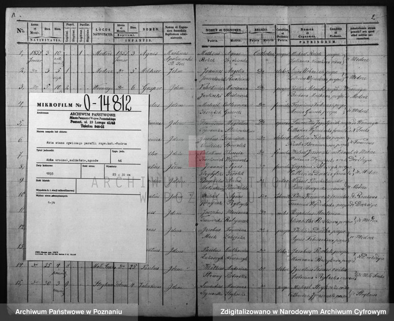 Obraz 3 z jednostki "Duplicatus baptisatorum, copulatorum, mortuorum"