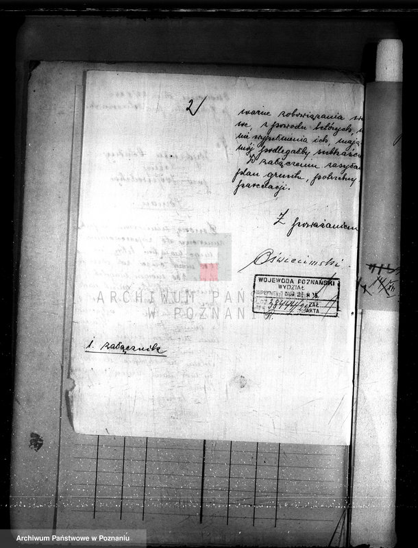 Obraz 6 z jednostki "Nadzór nad gospodarką w lasach majętności Oświęcim powiat kępiński"