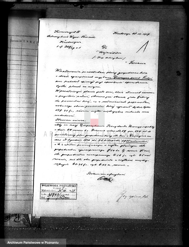 Obraz 5 z jednostki "Majętność leśna Dzięczyna w powiecie gostyńskim"