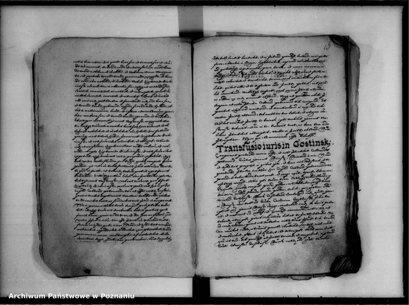 Obraz 19 z jednostki "Inscriptiones, relationes [inducta]"