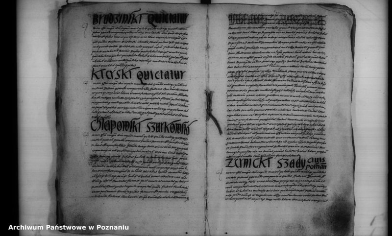 Obraz 14 z jednostki "Inscriptiones [inducta]"