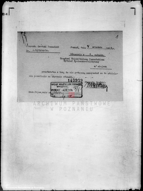 Obraz 5 z jednostki "Jacht Klub Wielkopolski"