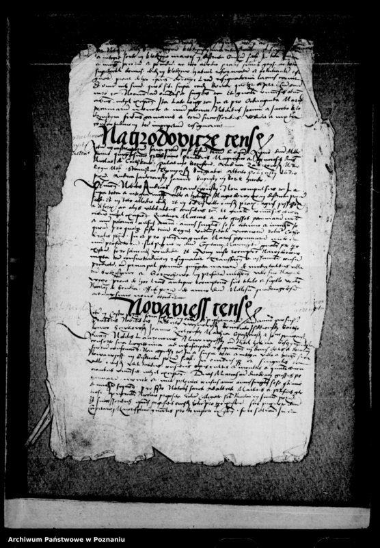 Obraz 8 z jednostki "Resignationes [inducta]"