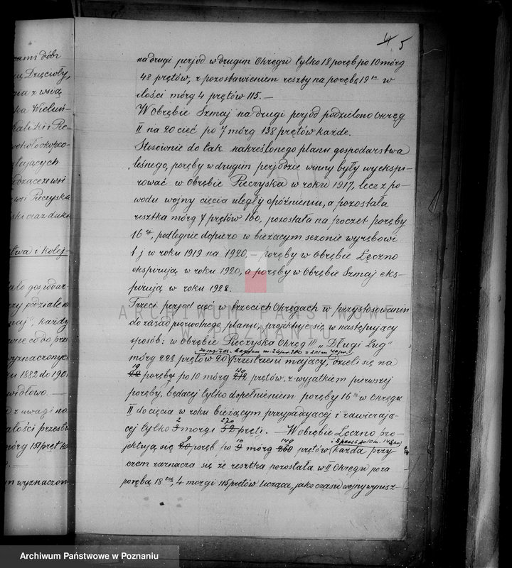 Obraz 8 z jednostki "/Las miasta Kalisza nadzór nad gospodarką/"