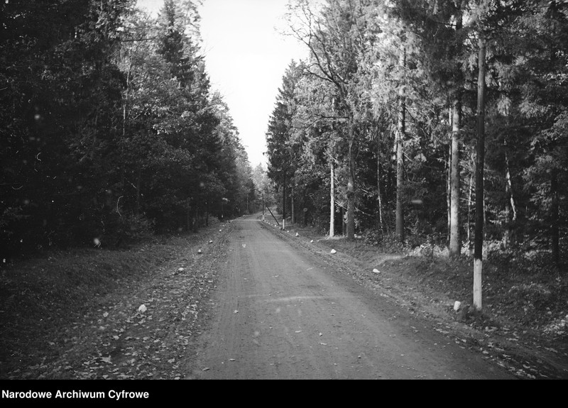 Obraz z zespołu "Archiwum fotograficzne Henryka Poddębskiego"