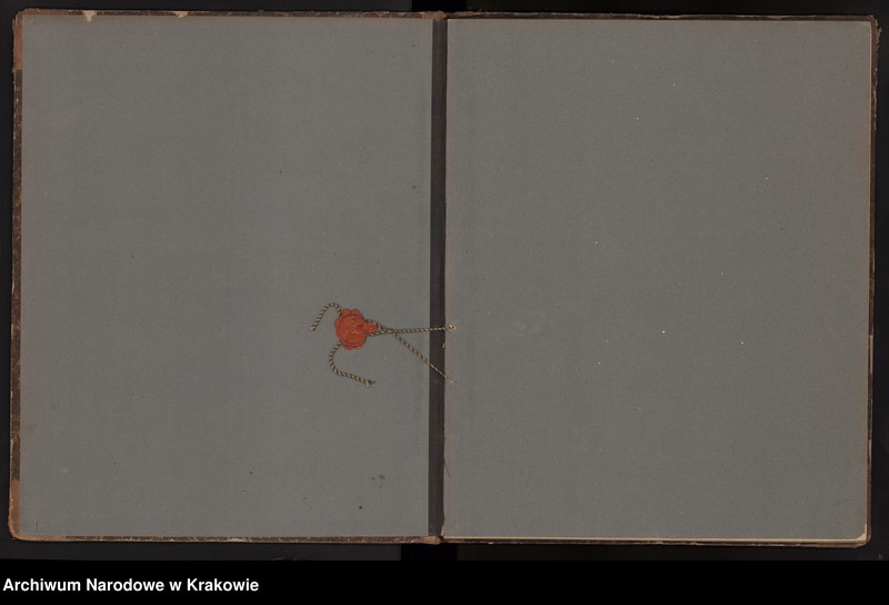 image.from.unit.number "Księga obejmująca wpisy wypadków śmierci Izraelitów w okręgu metrykalnym Krakowskim na rok 1899"