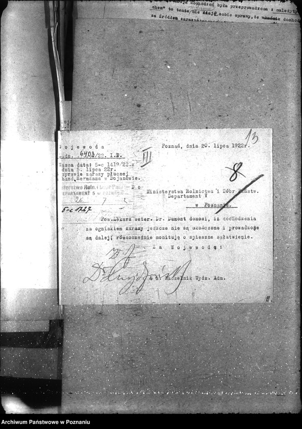 Obraz 17 z jednostki "Zaraza płucna - Rawicz"