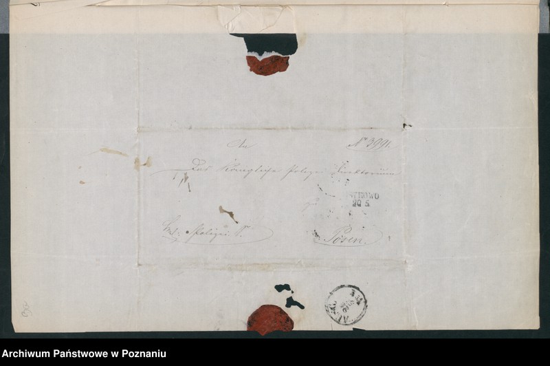 Obraz 10 z jednostki "A. betr. den polnischen Emigranten Adolf von Zalewski"