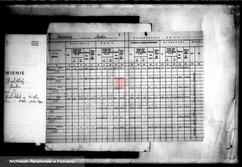 Obraz 8 z jednostki "Operat szacunkowy majątku Białebłota powiatu szubińskiego"