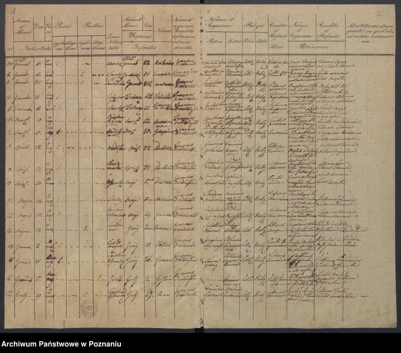 Obraz 4 z jednostki "Duplikat Natorum, Copulatorum, Mortuorum."