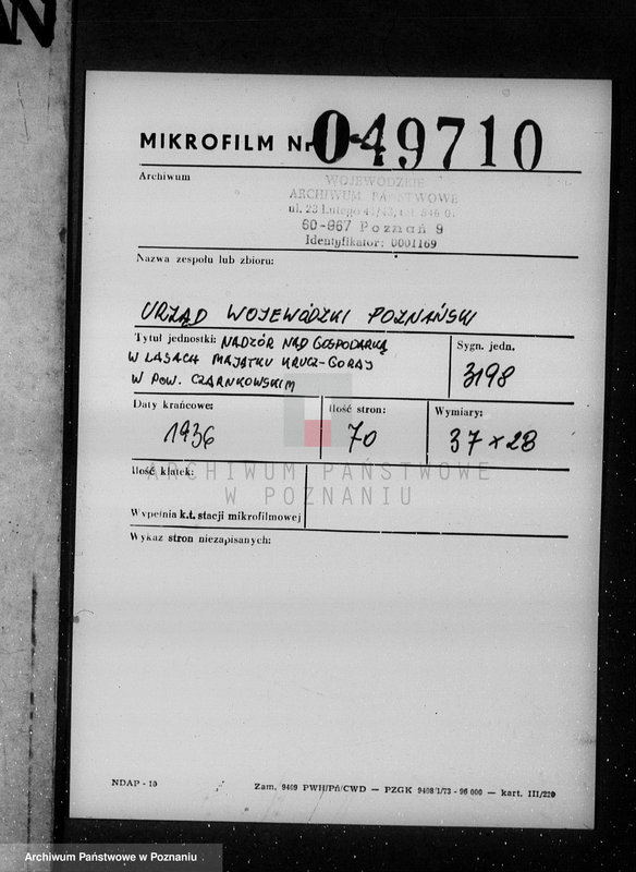 Obraz 2 z jednostki "/Nadzór nad gospodarką w lasach majątku Krucz-Goraj w powiecie czarnkowskim"